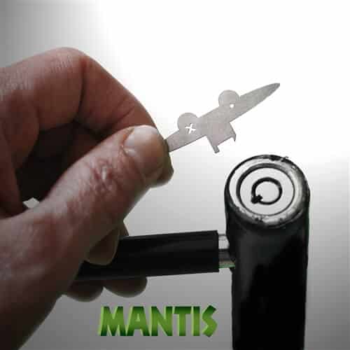 Sparrows Le Mantis