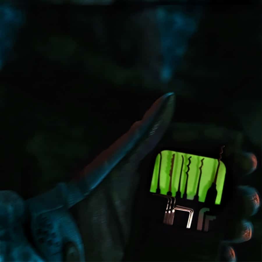 Set Creeper Sparrows